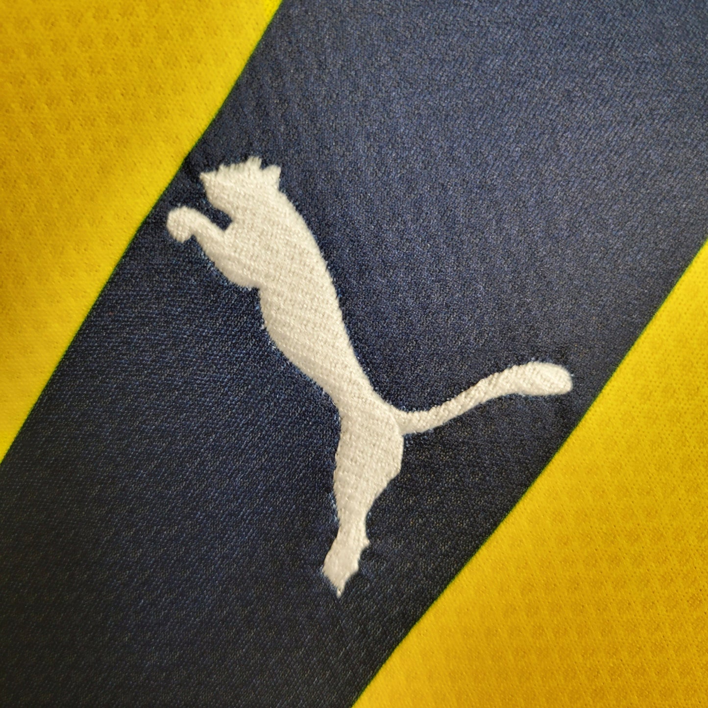 Fenerbahce Home 2023/24