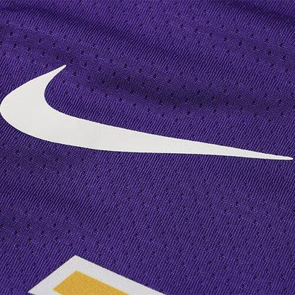 Regata NBA Los Angeles Lakers James n°23  Masculina -Roxo+Amarelo